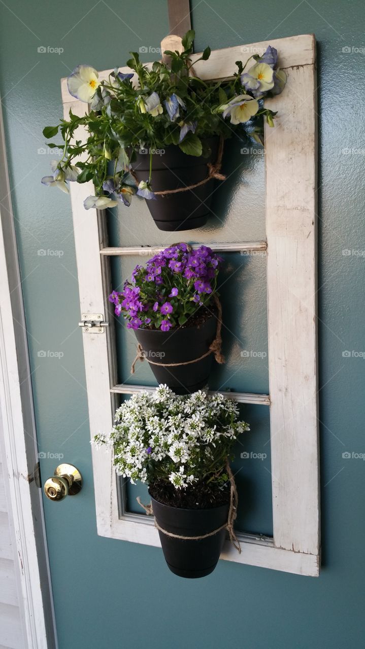 hanging old window planter. home made... by me! 