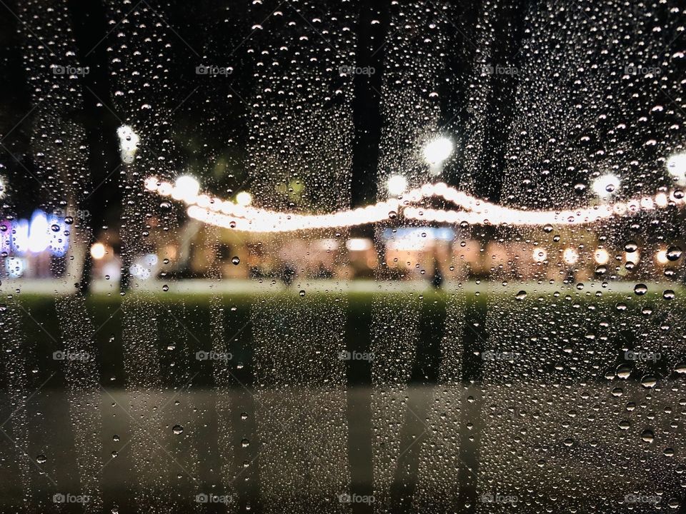 String lights in a park