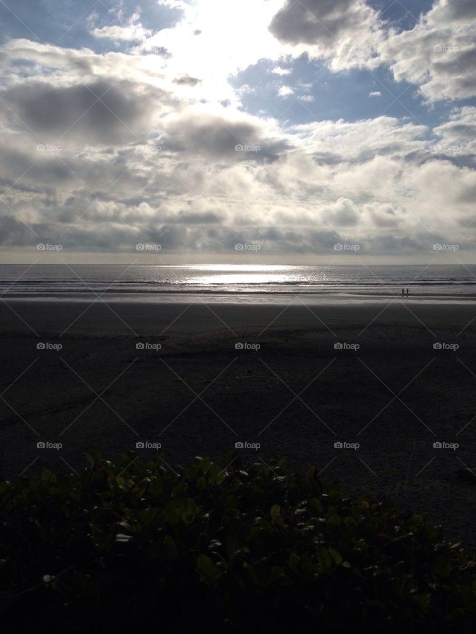 Pacific shadow. Reflective beach