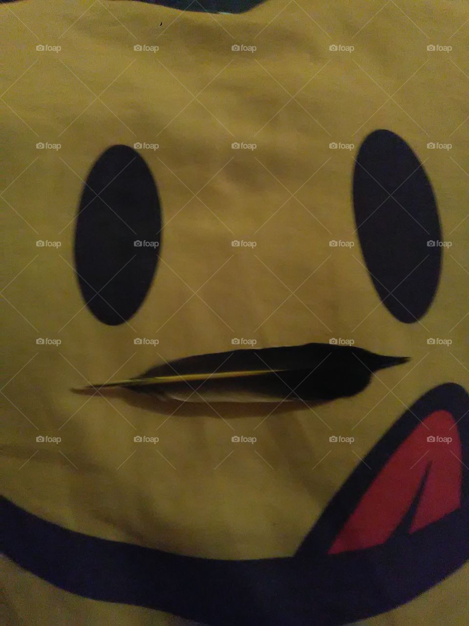 Yellow Flicker Tail Feather