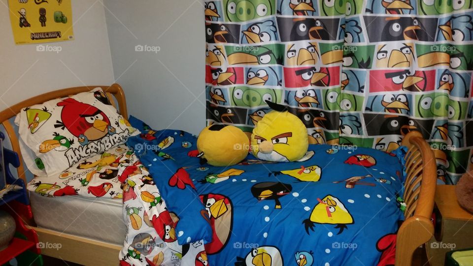 angry bird room