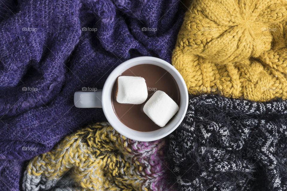 Cup of hot chocolate with marshmallow