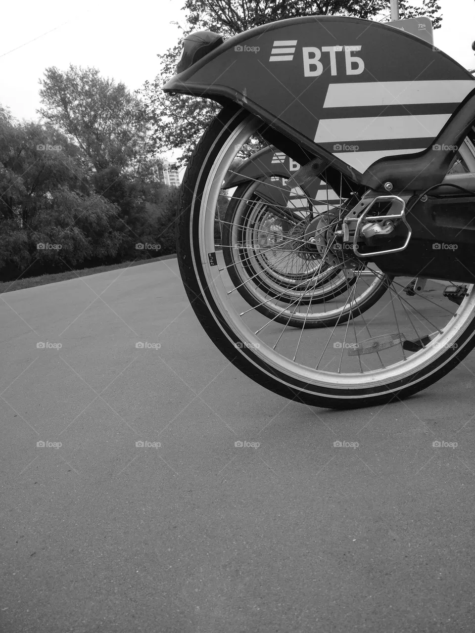 Bicycle