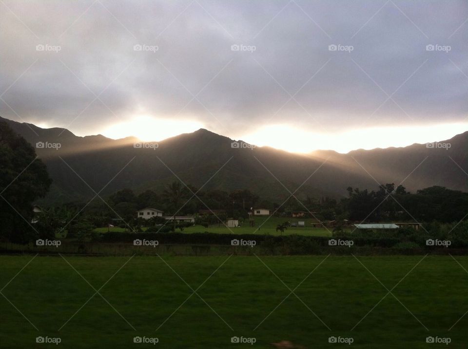 Kahalu'u beams