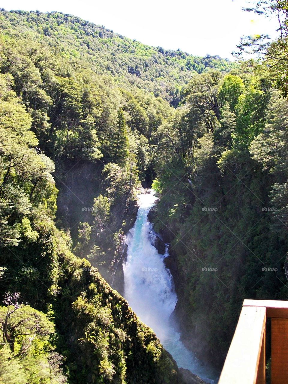 A thick forest frames the beautiful Chachin - Hua Hum waterfall.  Sounds of birds and insects, as well as animals, are among the trees, vines, and undergrowth. It is in the Parque Nacional Lanin, in Neuquen, Argentina.