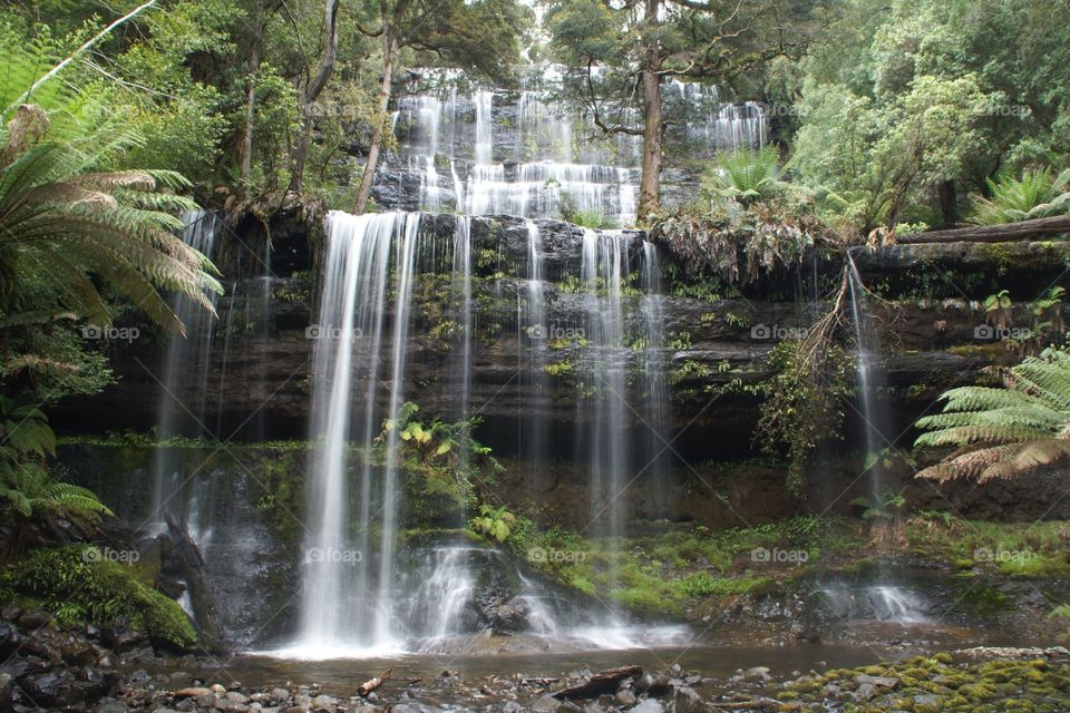 Beautiful tasmania 