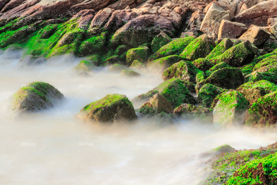 Beach Rocks covered by green moss at shoreline