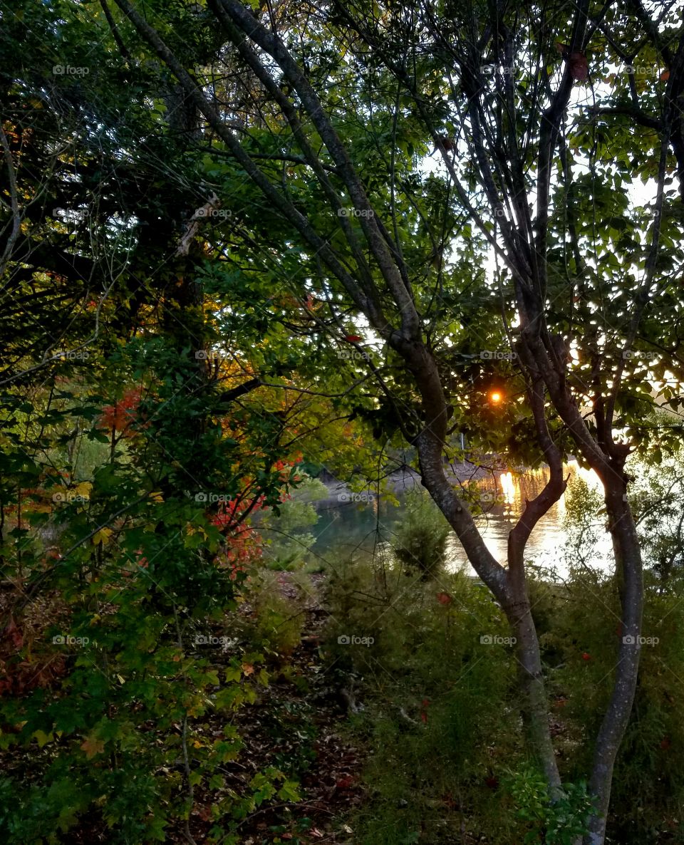 Sunrise reflected on a lake