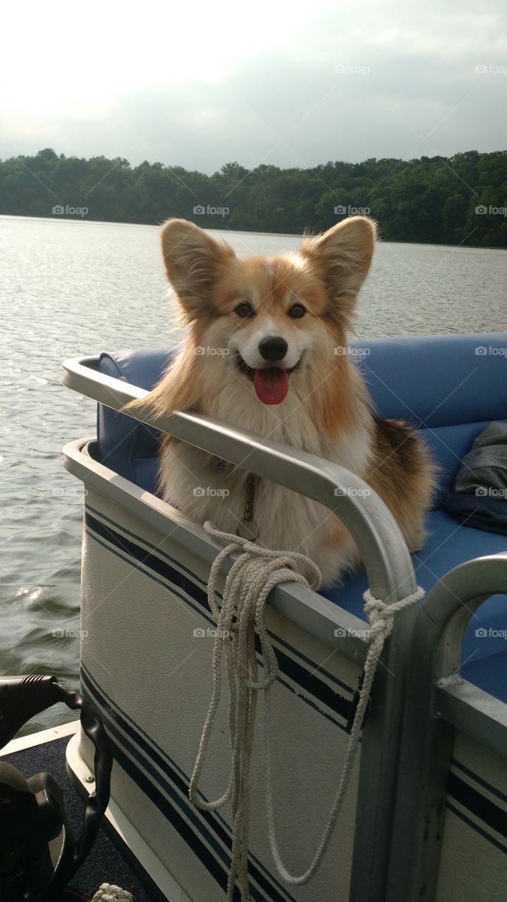 Boat Ride