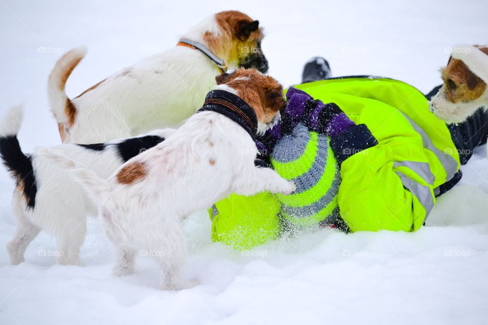 Teamwork. All get our human to play