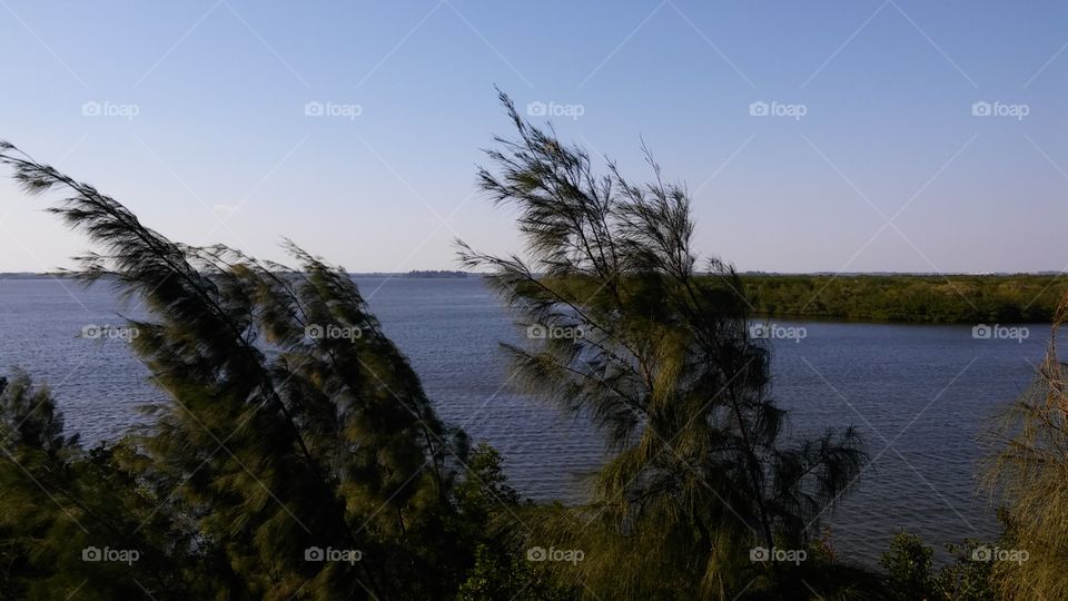 View from Round Island riverside park...