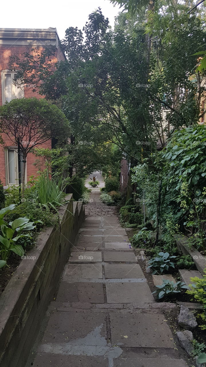 Secret street in Montreal, a taste of a countryside in middle of the city. Québec, Canada