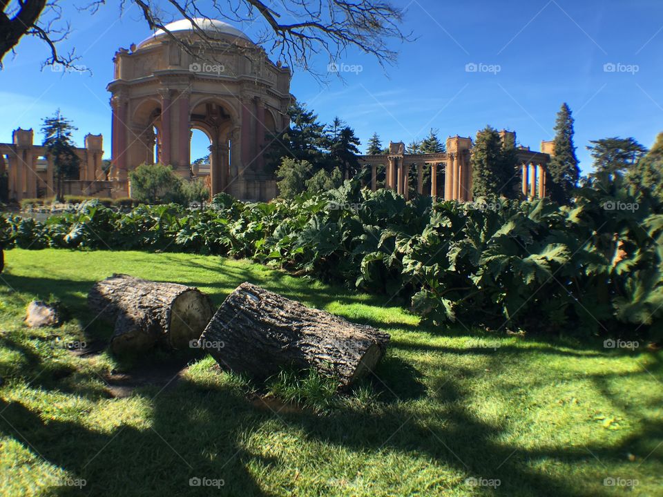 Side angle of the Palace of Fine Arts