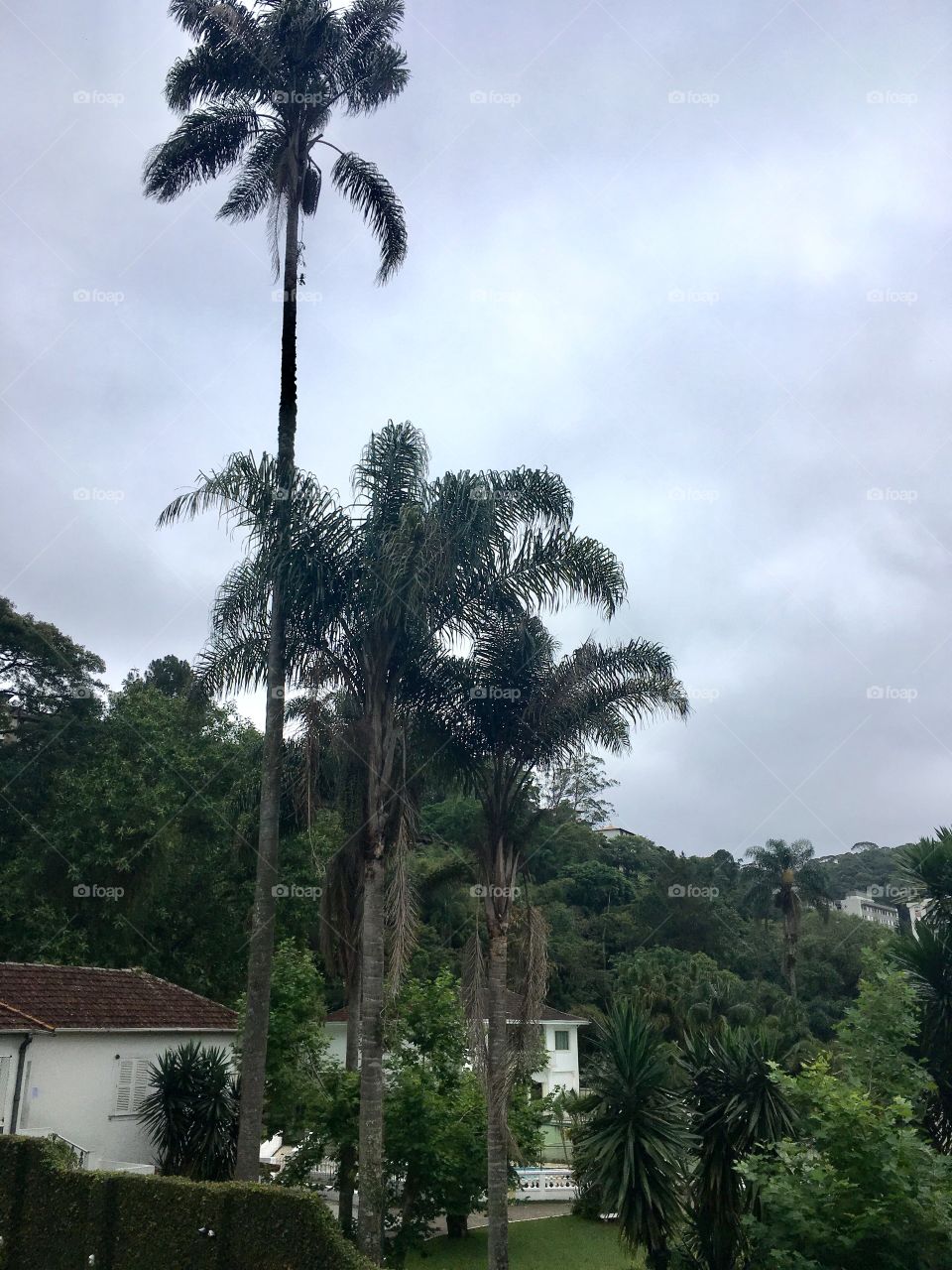 PETRÓPOLIS - um passeio na cidade planejada como lugarejo de descanso ao imperador Dom Pedro II na época do “Brasil Império.”