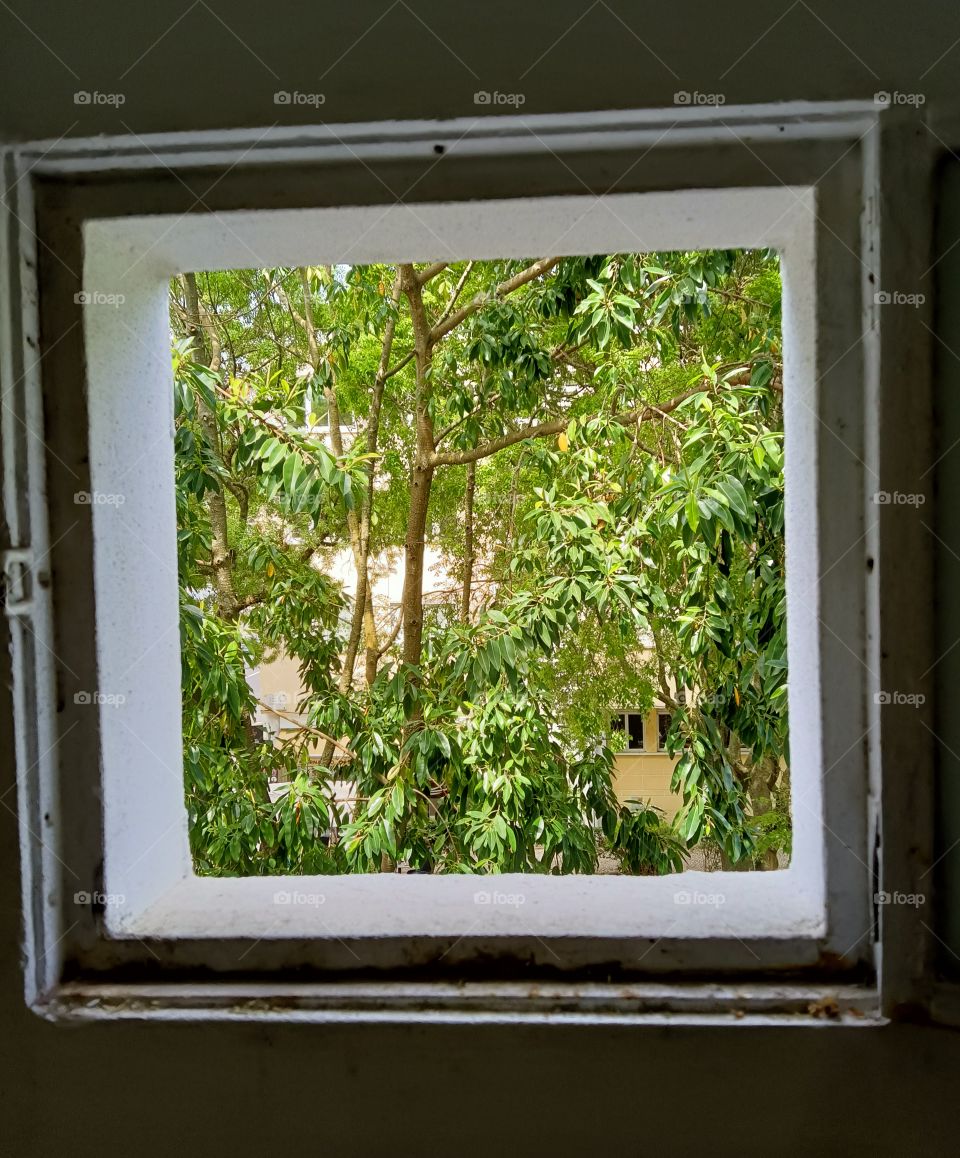 Open your mind to nature's window