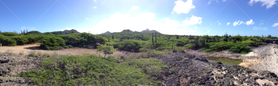 Landscape, Nature, No Person, Tree, Travel