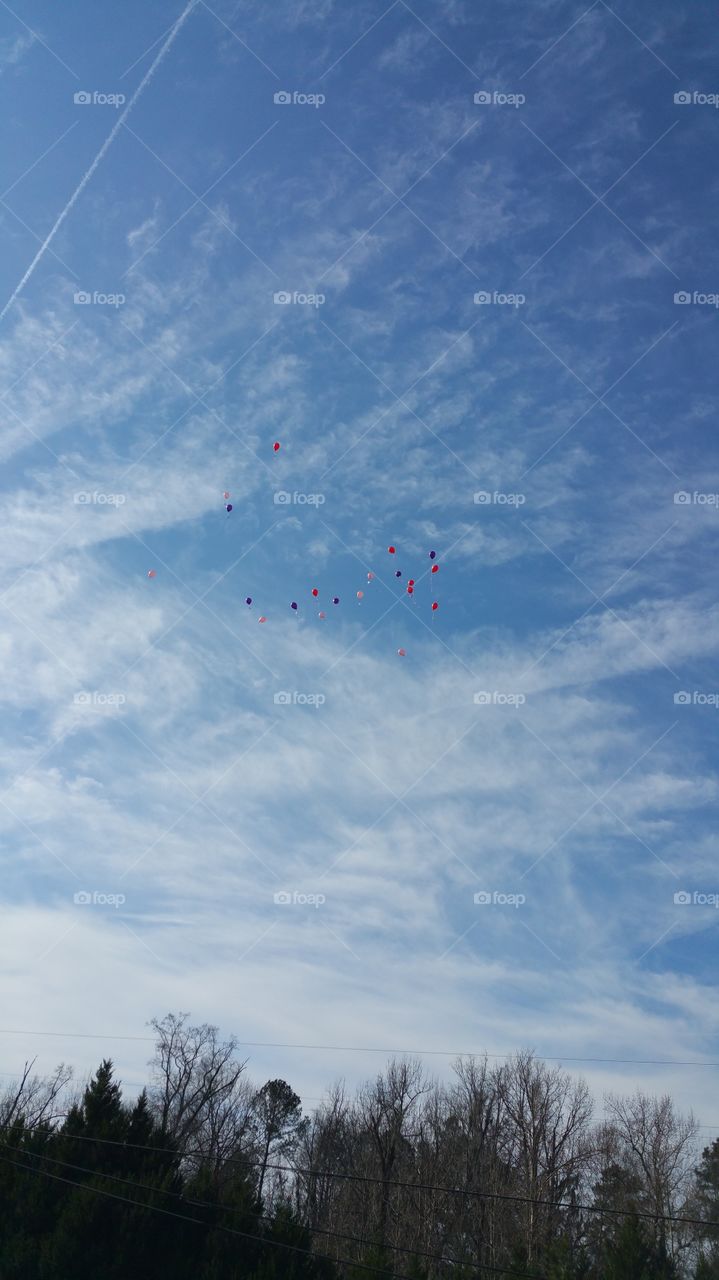 Balloons in the sky