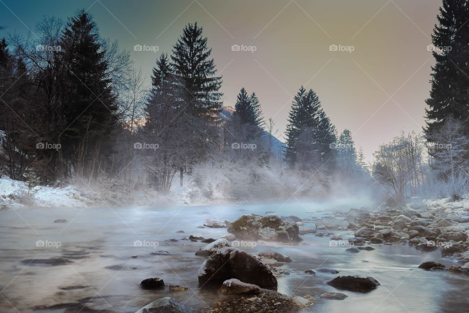 Fog over stream in forest