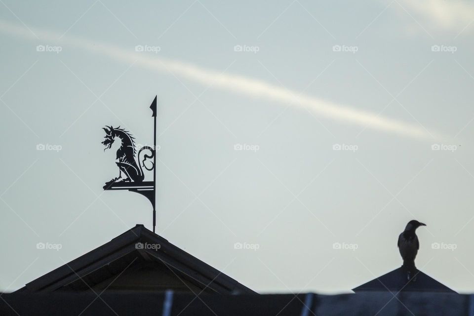 Architecture and life