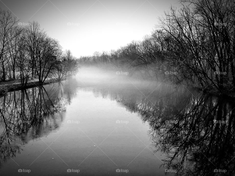 The silence of winter! The fog slowly starts to drift over Lake Carnegie on a dreary and cold winter morning! 