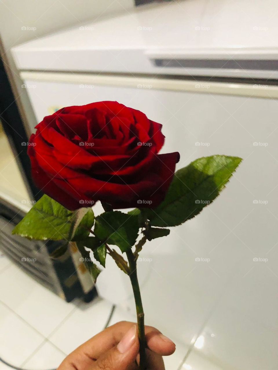 roses to give to loved ones