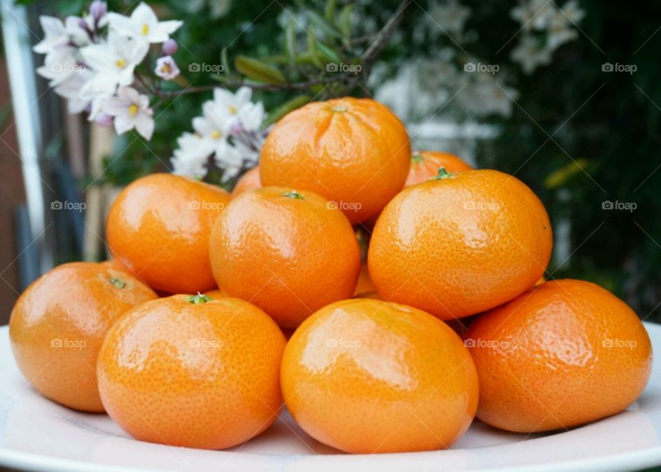 Stacked of riped oranges