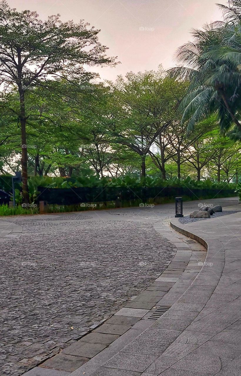 View of green plants