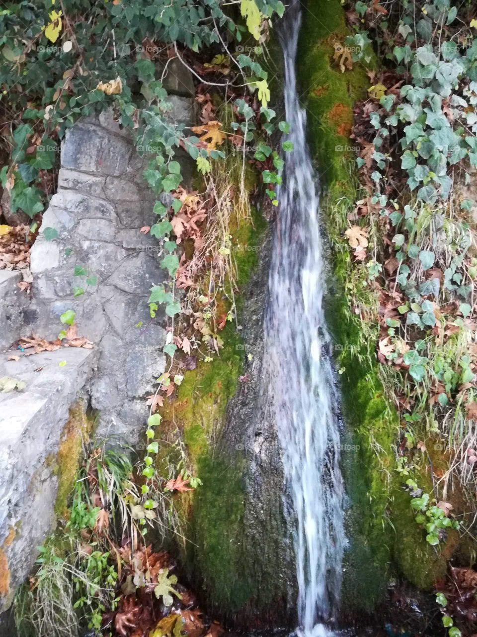 Water spring