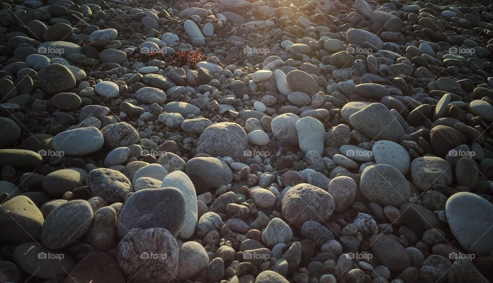 Beach pebbles