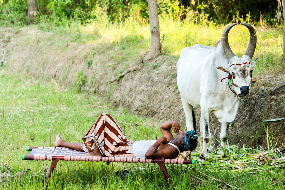 A wonderfull life style #villagelife