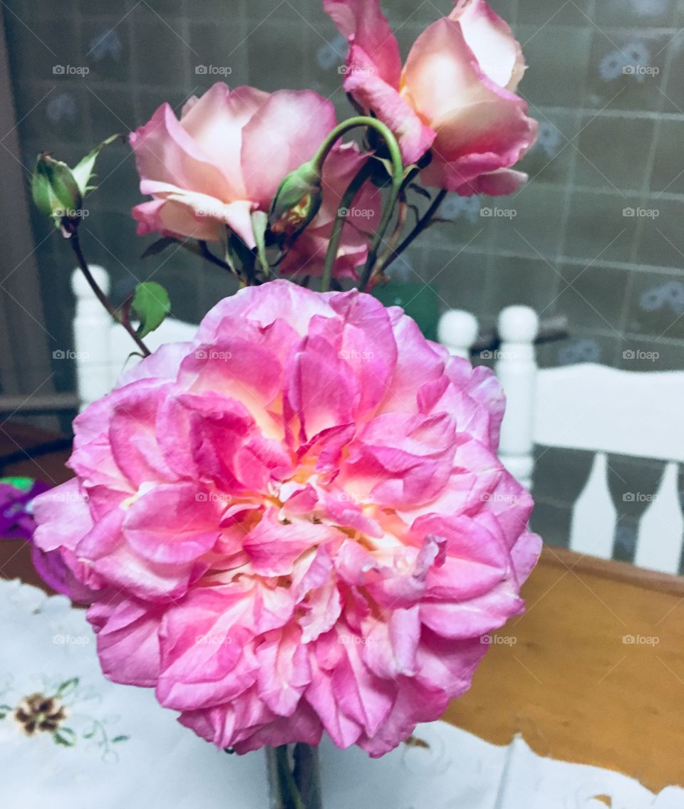 Um lindo buquê de flores para embelezar nossa casa. Aqui, as roseiras têm lugar especial para decorar e agradar!