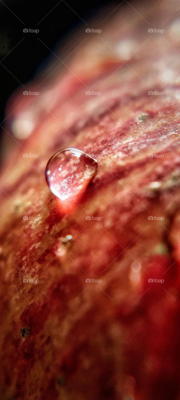water drop on a apple