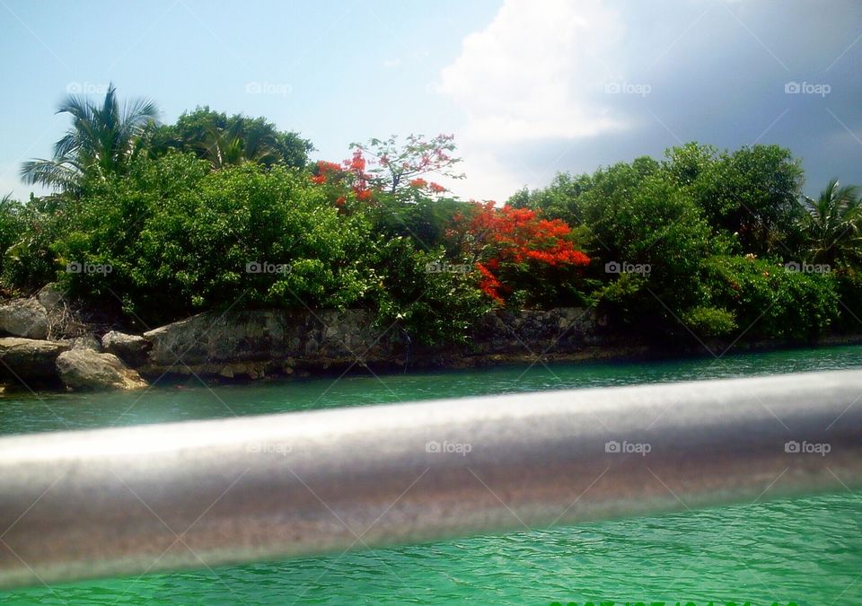 Gorgeous view on a boat ride in the Bahamas to swim with the dolphins.