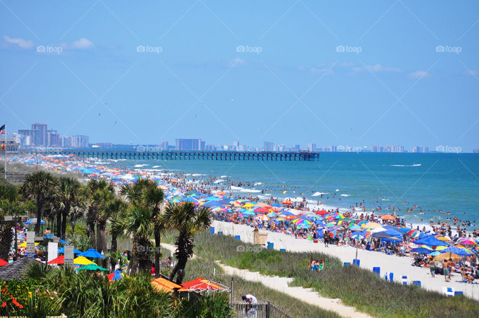 beach people tree sand by refocusphoto