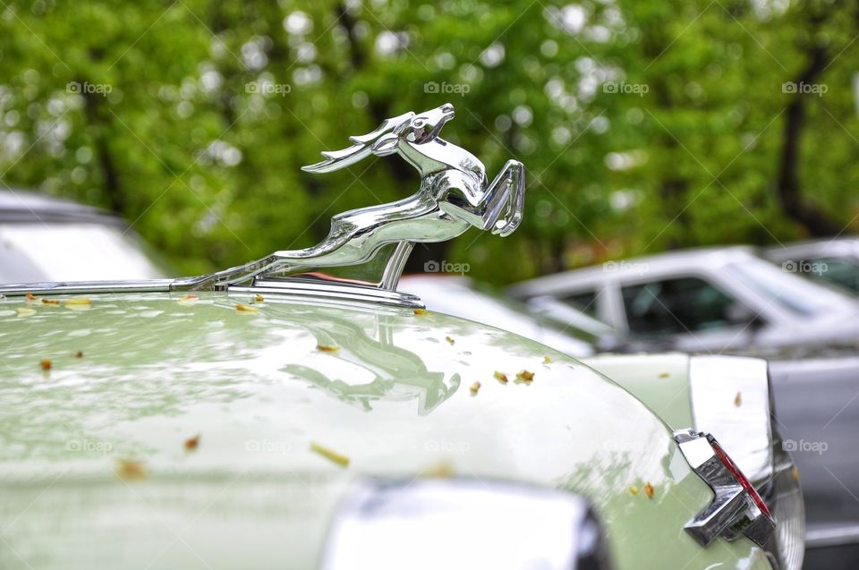 Deer emblem on the hood of the Soviet GAZ-21 Volga