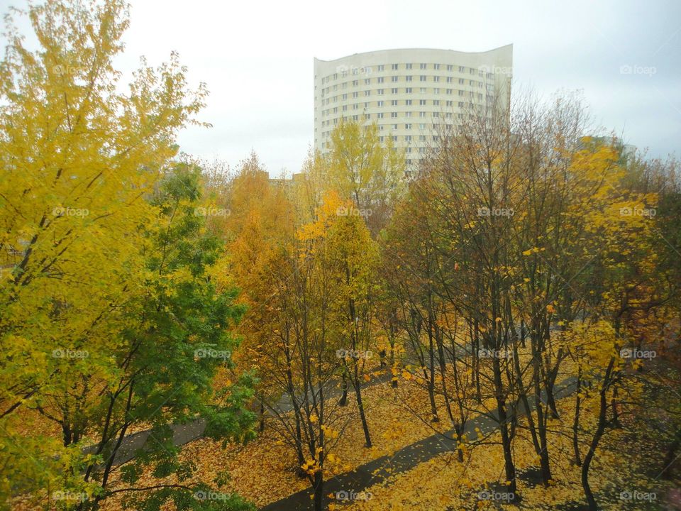 autumn street