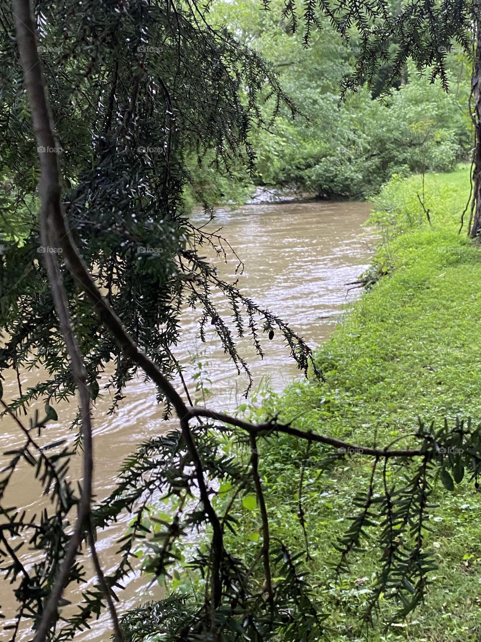 Creek over flowing #creek #crick #water #woods 