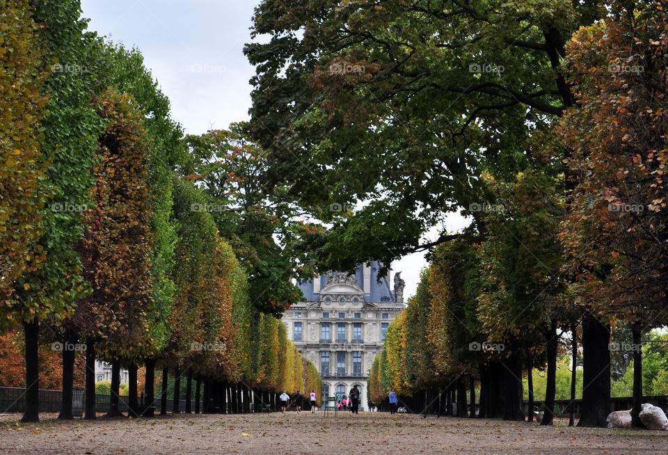 Paris park in autumn 