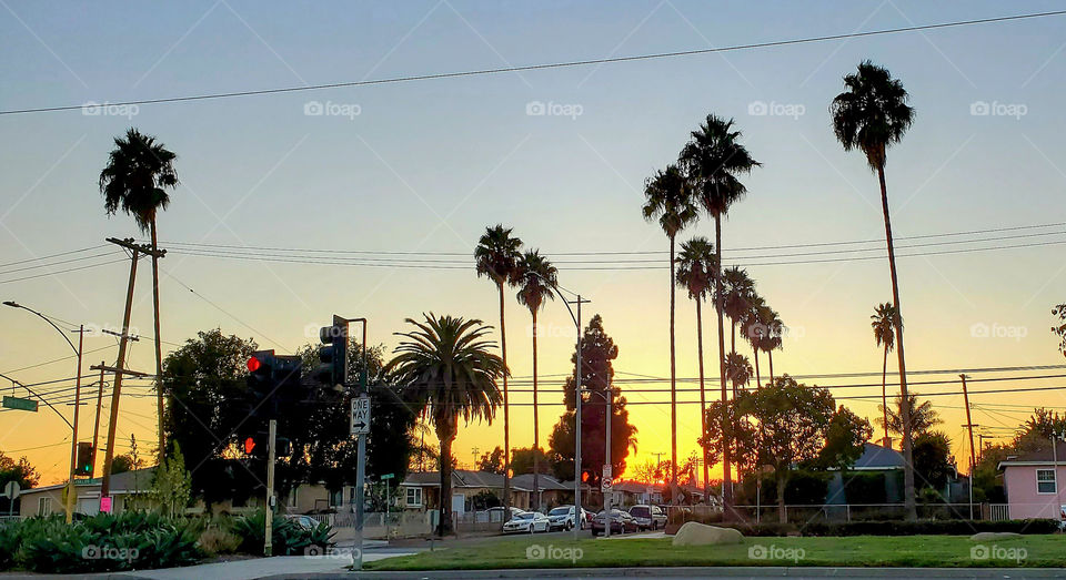 Carson California Sunset