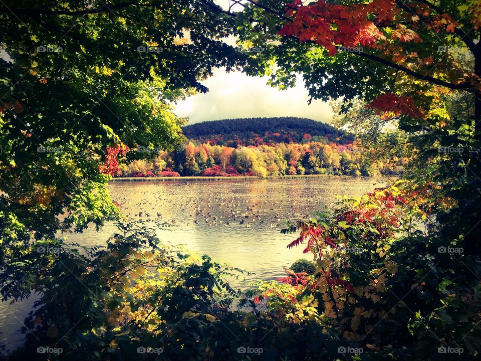 Natures truest colors