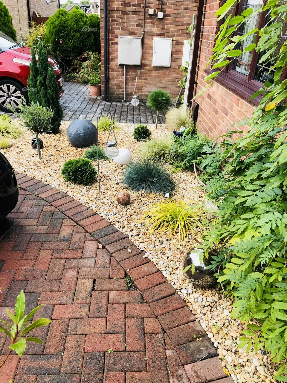 Just plants