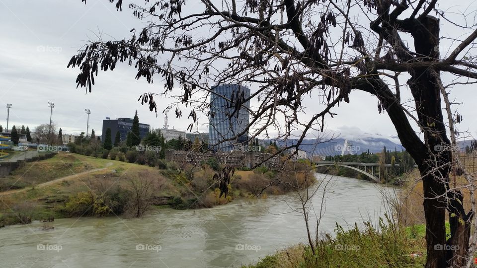 Tree, Water, Nature, Landscape, River