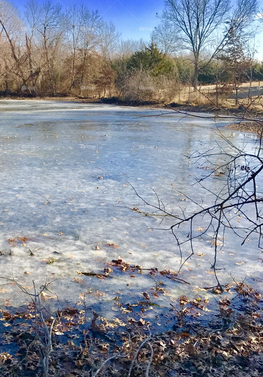 Winter Story, cold, winter, rural, frozen, ice, lake, sky, shore, thin ice, pond, water, melting, trees, tree line, brush, overgrown,