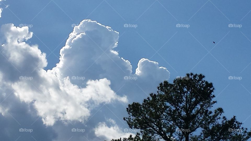 growing clouds