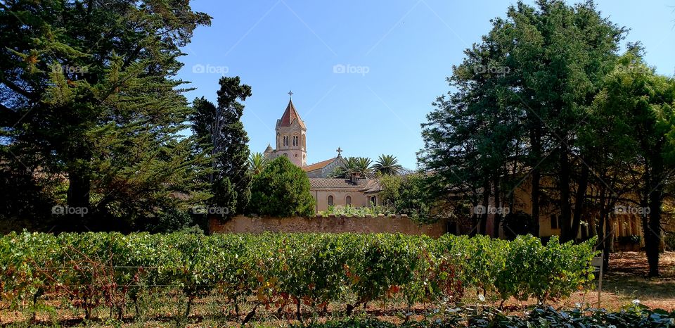 Saint Honorat Island new Monastery with vineyard in front