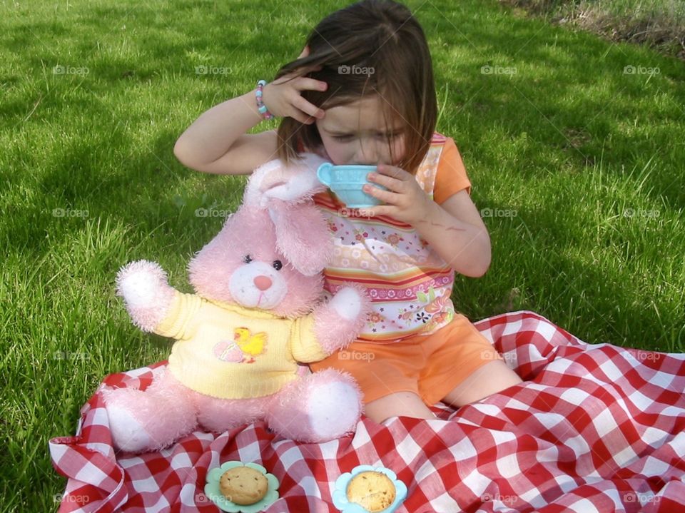 Teddy bear picnic