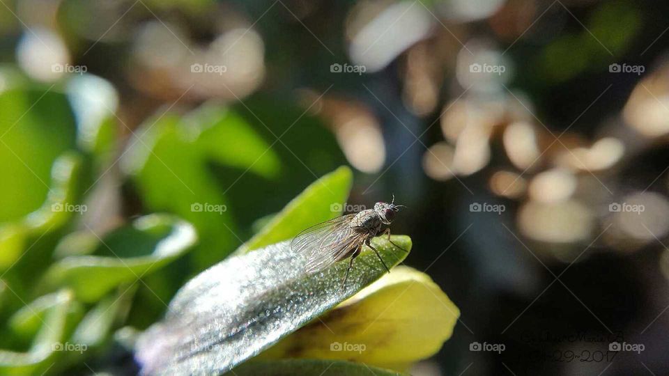 Teeny Tiny in a Beautiful Setting