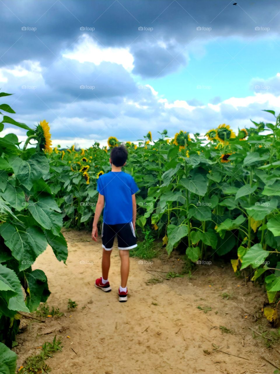 boy in field