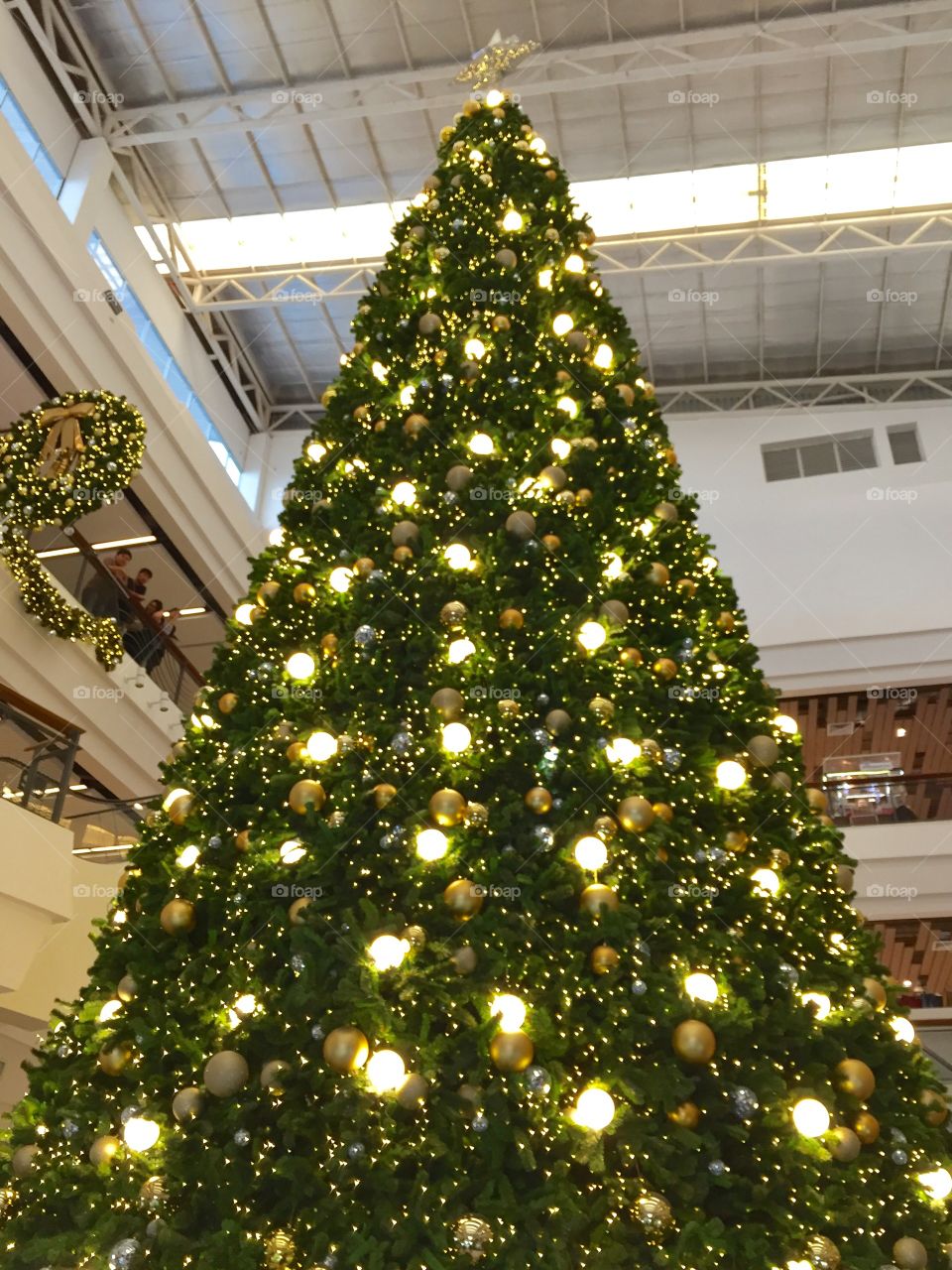 Christmas Tree, Christmas