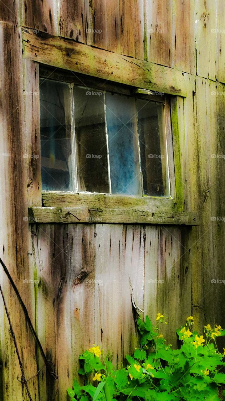 Rustic Barn window
